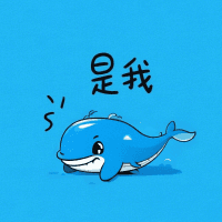 DeepSeek R1 联网搜索版
